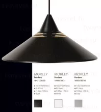 Подвесной светильник Lucide Morley 16431/30/30 купить с доставкой по России