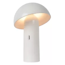 Интерьерная настольная лампа Fungo 15599/06/31 купить с доставкой по России