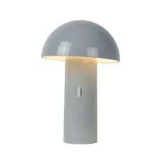 Интерьерная настольная лампа Fungo 15599/06/36 купить с доставкой по России
