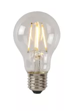 Лампочка светодиодная диммируемая Lucide Led Bulb 49020/05/60 купить с доставкой по России